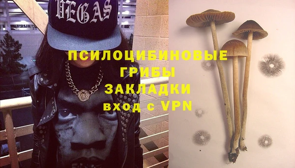 гидра Куйбышев